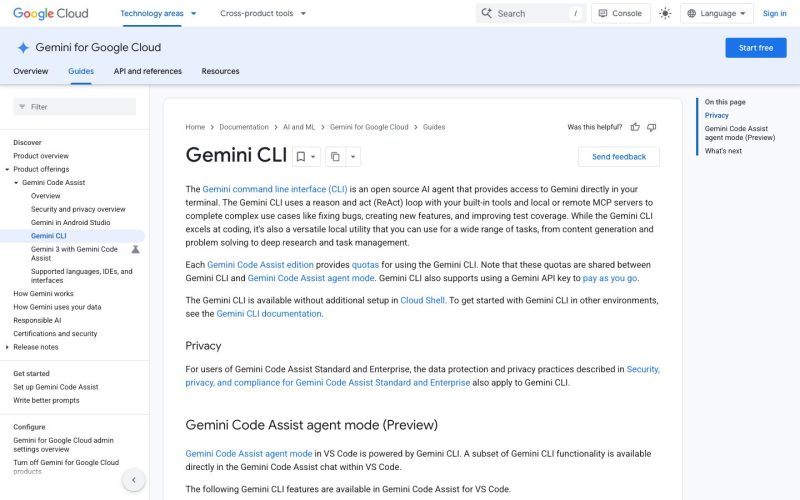 Gemini CLI