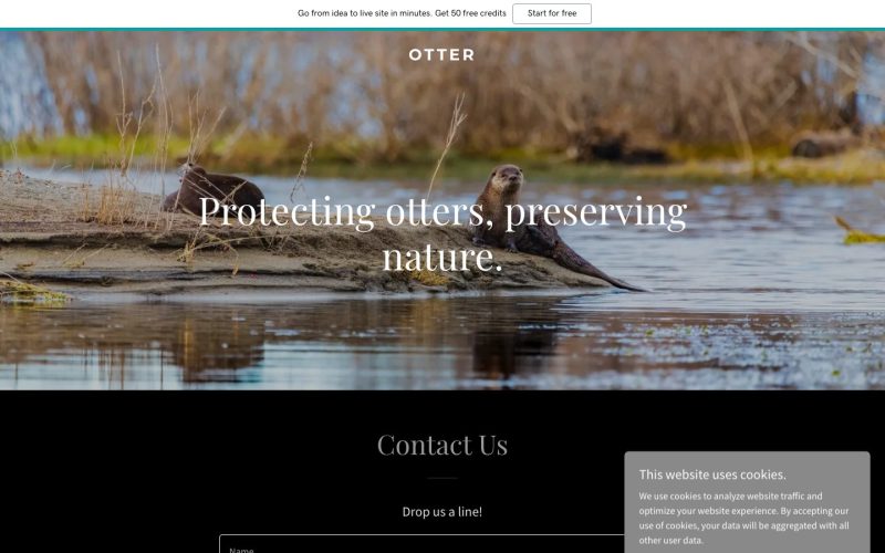 Otter