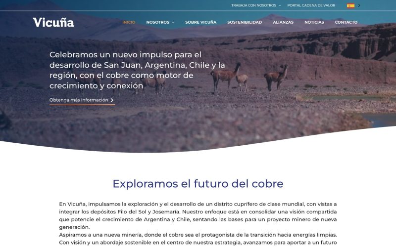 Vicuna
